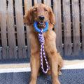 Dental Stick Chew Toy - rubber teeth-cleaning toy for dogs