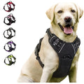 No-Pull Front-Clip Dog Harness with reflective trim