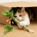 Catnip Trio Pack - organic catnip cat toys